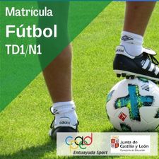 Información curso TD1 futbol